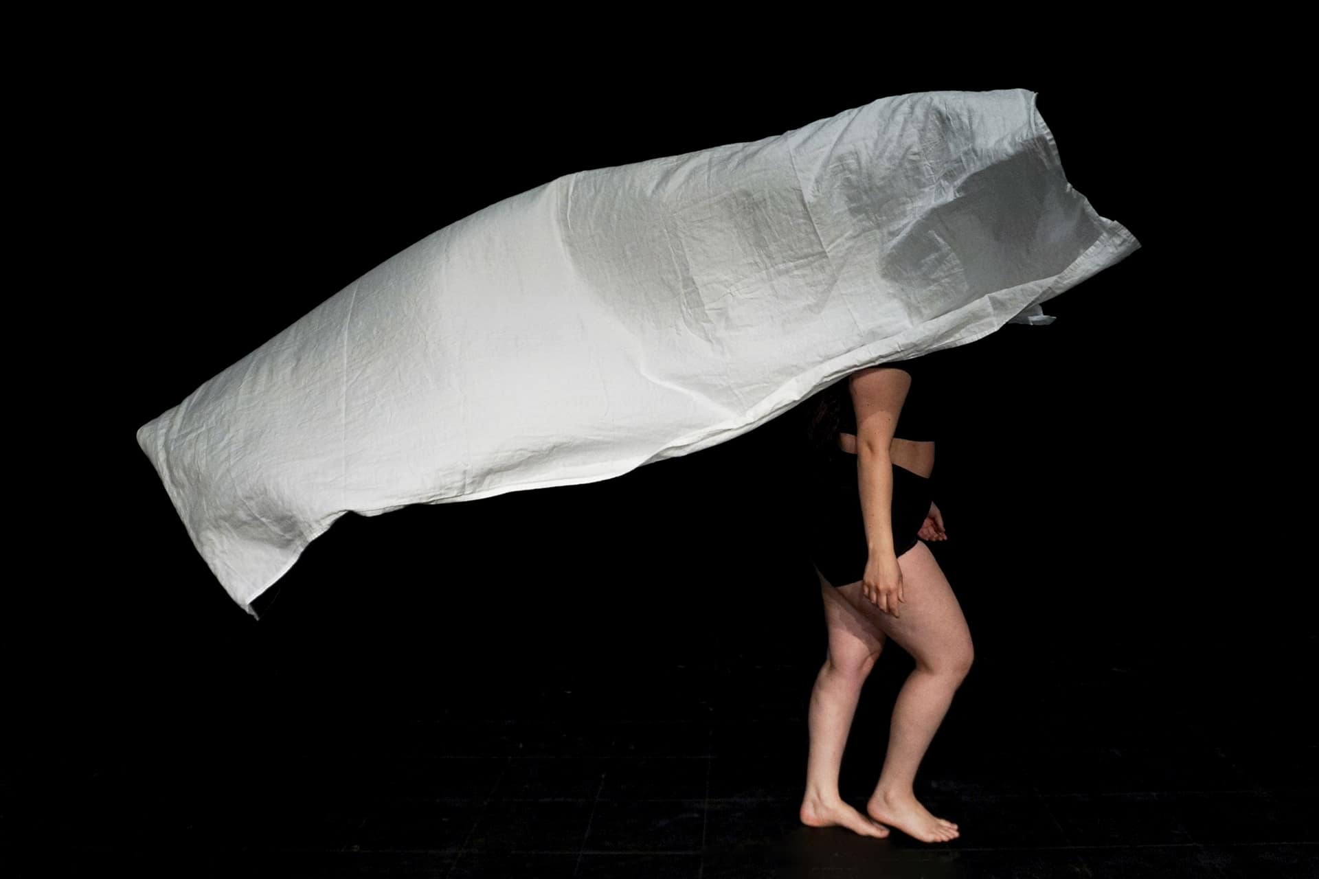Image de l'oeuvre