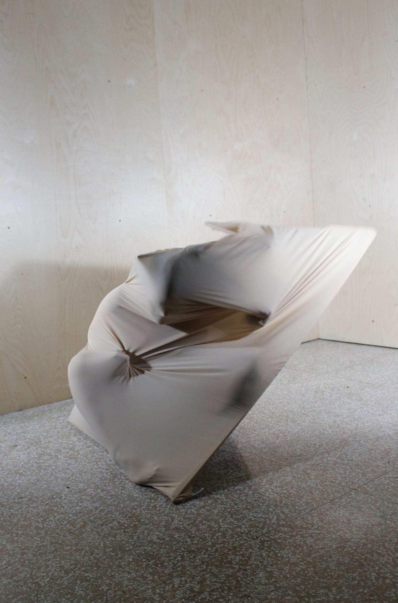 Image de l'oeuvre